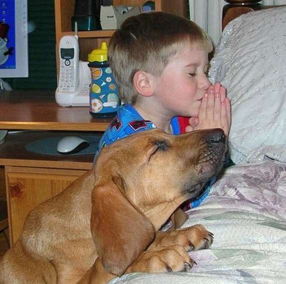 chlapec sa modli