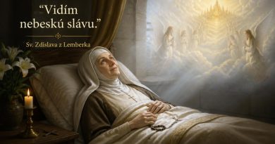 Svätá smrť svätcov. 150 výrokov svätcov a blahoslavených tesne pred smrťou. Svätá smrť svätcov. 150 výrokov svätcov a blahoslavených tesne pred smrťou.